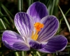 Filename=00967_fotowilga~1.JPG
Filesize=314KB
Dimensions=699x564
Date added=Jul 06, 2019 00967_fotowilga~1.JPG