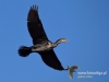 Filename=0098_fotowilga~37.JPG
Filesize=49KB
Dimensions=640x480
Date added=Feb 28, 2017 0098_fotowilga~37.JPG