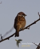 Filename=009_fotowilga~19.JPG
Filesize=42KB
Dimensions=400x480
Date added=Dec 02, 2016 009_fotowilga~19.JPG
