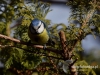 Filename=009_fotowilga~26.JPG
Filesize=123KB
Dimensions=640x480
Date added=Feb 28, 2017 009_fotowilga~26.JPG