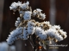 Filename=009_fotowilga~3.JPG
Filesize=122KB
Dimensions=640x480
Date added=Mar 17, 2015 009_fotowilga~3.JPG