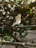 Filename=009_fotowilga~34.JPG
Filesize=288KB
Dimensions=525x700
Date added=Sep 08, 2017 009_fotowilga~34.JPG