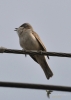 Filename=009_fotowilga~40.JPG
Filesize=173KB
Dimensions=499x700
Date added=Jan 02, 2018 009_fotowilga~40.JPG