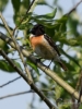 Filename=009_fotowilga~41.JPG
Filesize=237KB
Dimensions=525x700
Date added=Feb 15, 2018 009_fotowilga~41.JPG