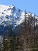 Filename=009_fotowilga~45.JPG
Filesize=386KB
Dimensions=522x700
Date added=Feb 27, 2018 009_fotowilga~45.JPG