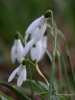 Filename=009_fotowilga~48.JPG
Filesize=214KB
Dimensions=525x700
Date added=Apr 16, 2018 009_fotowilga~48.JPG