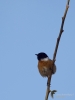 Filename=009_fotowilga~64.JPG
Filesize=177KB
Dimensions=525x700
Date added=Oct 28, 2019 009_fotowilga~64.JPG
