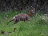 0102_fotowilga~40.JPG