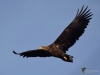 Filename=0102_fotowilga~61.JPG
Filesize=205KB
Dimensions=700x525
Date added=Jan 02, 2019 0102_fotowilga~61.JPG