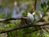 Filename=0106_fotowilga~45.JPG
Filesize=249KB
Dimensions=700x525
Date added=Mar 02, 2019 0106_fotowilga~45.JPG
