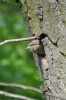 Filename=010_fotowilga~30.JPG
Filesize=257KB
Dimensions=466x700
Date added=Mar 16, 2018 010_fotowilga~30.JPG
