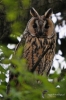 Filename=010_fotowilga~39.JPG
Filesize=261KB
Dimensions=466x700
Date added=Jun 06, 2017 010_fotowilga~39.JPG