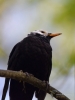 Filename=010_fotowilga~63.JPG
Filesize=203KB
Dimensions=525x700
Date added=Mar 05, 2019 010_fotowilga~63.JPG