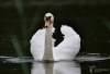 Filename=010_fotowilga~65.JPG
Filesize=198KB
Dimensions=700x479
Date added=Mar 17, 2019 010_fotowilga~65.JPG