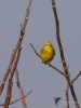 Filename=010_fotowilga~68.JPG
Filesize=189KB
Dimensions=525x700
Date added=May 12, 2019 010_fotowilga~68.JPG