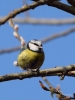 Filename=010_fotowilga~69.JPG
Filesize=253KB
Dimensions=525x700
Date added=Jun 26, 2019 010_fotowilga~69.JPG