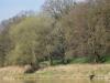 Filename=010_fotowilga~70.JPG
Filesize=383KB
Dimensions=700x525
Date added=Jul 01, 2019 010_fotowilga~70.JPG