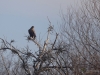 Filename=010_fotowilga~73.JPG
Filesize=351KB
Dimensions=700x525
Date added=Oct 24, 2019 010_fotowilga~73.JPG