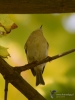 Filename=0115_fotowilga~50.JPG
Filesize=236KB
Dimensions=525x700
Date added=Feb 14, 2019 0115_fotowilga~50.JPG
