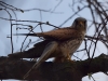 Filename=0115_fotowilga~52.JPG
Filesize=279KB
Dimensions=700x525
Date added=May 01, 2019 0115_fotowilga~52.JPG