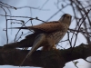 Filename=0116_fotowilga.JPG
Filesize=258KB
Dimensions=700x525
Date added=May 19, 2019 0116_fotowilga.JPG