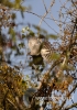Filename=011_fotowilga~18.JPG
Filesize=107KB
Dimensions=339x480
Date added=Nov 02, 2015 011_fotowilga~18.JPG
