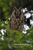 Filename=011_fotowilga~21.JPG
Filesize=81KB
Dimensions=320x480
Date added=Jan 07, 2016 011_fotowilga~21.JPG