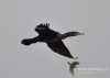 Filename=011_fotowilga~24.JPG
Filesize=46KB
Dimensions=640x457
Date added=Mar 03, 2016 011_fotowilga~24.JPG
