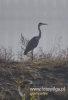 Filename=011_fotowilga~25.JPG
Filesize=69KB
Dimensions=328x480
Date added=Apr 17, 2016 011_fotowilga~25.JPG