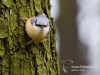 Filename=011_fotowilga~41.JPG
Filesize=97KB
Dimensions=640x480
Date added=Mar 27, 2017 011_fotowilga~41.JPG