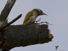 Filename=011_fotowilga~44.JPG
Filesize=206KB
Dimensions=700x525
Date added=May 21, 2017 011_fotowilga~44.JPG