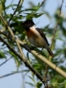 Filename=011_fotowilga~45.JPG
Filesize=240KB
Dimensions=525x700
Date added=May 24, 2017 011_fotowilga~45.JPG