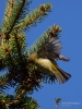 Filename=011_fotowilga~49.JPG
Filesize=314KB
Dimensions=525x700
Date added=Nov 16, 2017 011_fotowilga~49.JPG