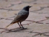 Filename=011_fotowilga~53.JPG
Filesize=262KB
Dimensions=700x525
Date added=Feb 10, 2018 011_fotowilga~53.JPG