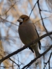 Filename=011_fotowilga~54.JPG
Filesize=232KB
Dimensions=525x700
Date added=Feb 18, 2018 011_fotowilga~54.JPG