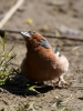 Filename=011_fotowilga~61.JPG
Filesize=264KB
Dimensions=525x700
Date added=Jan 05, 2019 011_fotowilga~61.JPG