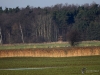 Filename=011_fotowilga~66.JPG
Filesize=333KB
Dimensions=700x525
Date added=Apr 15, 2019 011_fotowilga~66.JPG