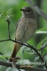 Filename=0122_fotowilga~26.JPG
Filesize=72KB
Dimensions=320x480
Date added=Jul 29, 2016 0122_fotowilga~26.JPG