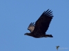 Filename=0124_fotowilga.JPG
Filesize=208KB
Dimensions=700x525
Date added=Mar 02, 2019 0124_fotowilga.JPG