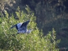 Filename=0124_fotowilga~53.JPG
Filesize=359KB
Dimensions=700x525
Date added=Jan 15, 2019 0124_fotowilga~53.JPG