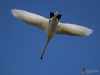 Filename=0125_fotowilga~72.JPG
Filesize=198KB
Dimensions=700x525
Date added=Sep 26, 2019 0125_fotowilga~72.JPG