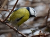 Filename=0128_fotowilga~35.JPG
Filesize=77KB
Dimensions=640x480
Date added=Mar 23, 2017 0128_fotowilga~35.JPG