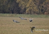 Filename=012_fotowilga~22.JPG
Filesize=132KB
Dimensions=640x452
Date added=Dec 22, 2015 012_fotowilga~22.JPG