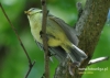 Filename=012_fotowilga~29.JPG
Filesize=97KB
Dimensions=640x457
Date added=Apr 17, 2016 012_fotowilga~29.JPG