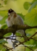 Filename=012_fotowilga~31.JPG
Filesize=52KB
Dimensions=357x480
Date added=May 23, 2016 012_fotowilga~31.JPG