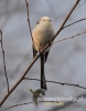 Filename=012_fotowilga~32.JPG
Filesize=67KB
Dimensions=377x480
Date added=Aug 14, 2016 012_fotowilga~32.JPG