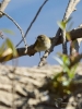 Filename=012_fotowilga~49.JPG
Filesize=259KB
Dimensions=525x700
Date added=Sep 10, 2017 012_fotowilga~49.JPG