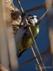 Filename=012_fotowilga~58.JPG
Filesize=235KB
Dimensions=525x700
Date added=Feb 23, 2018 012_fotowilga~58.JPG