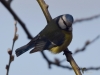 Filename=012_fotowilga~60.JPG
Filesize=206KB
Dimensions=700x525
Date added=Jan 05, 2019 012_fotowilga~60.JPG