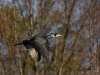 Filename=012_fotowilga~61.JPG
Filesize=266KB
Dimensions=700x525
Date added=Feb 10, 2019 012_fotowilga~61.JPG